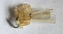 Sysmex XP 300, XP330 KX-21N, KX-21, K-4500 WBC Cell Transducer